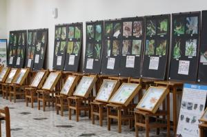 昆蟲展98.3.25，開新視窗